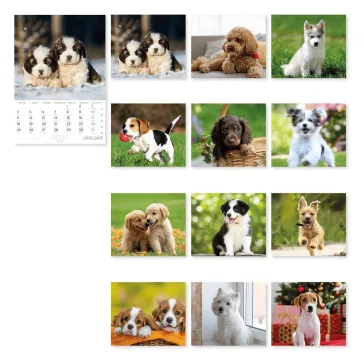Falinaptár LIZZYCALENDAR A/4 álló Kutyák 2027