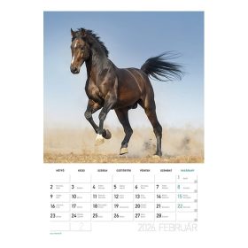 Falinaptár spirálozott  LIZZY CARD B/4 álló Lovak 2026.