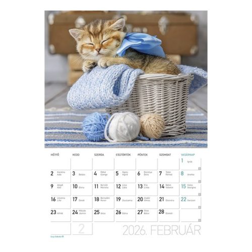 Falinaptár LIZZY CARD A/4 álló Cicák 2026.