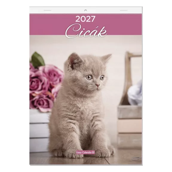 Falinaptár LIZZYCALENDAR A/4 álló Cicák 2027 Falinaptár LIZZYCALENDAR A/4 álló Cicák 2027