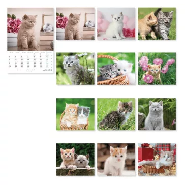 Falinaptár LIZZYCALENDAR A/4 álló Cicák 2027