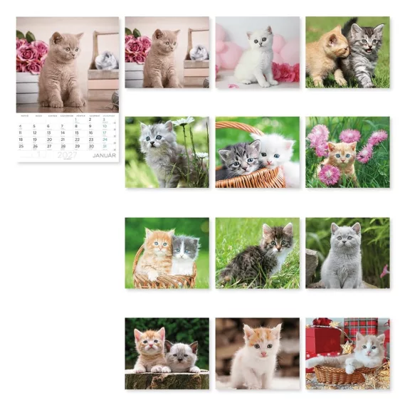 Falinaptár LIZZYCALENDAR A/4 álló Cicák 2027 Falinaptár LIZZYCALENDAR A/4 álló Cicák 2027