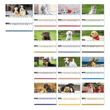   Falinaptár LIZZYCALENDAR 220x220mm 2 hetes mágneses Kutyák 2027
