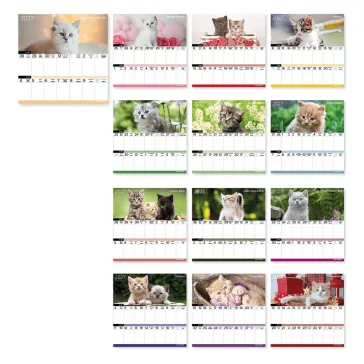   Falinaptár LIZZYCALENDAR 220x220mm 2 hetes mágneses Cicák 2027