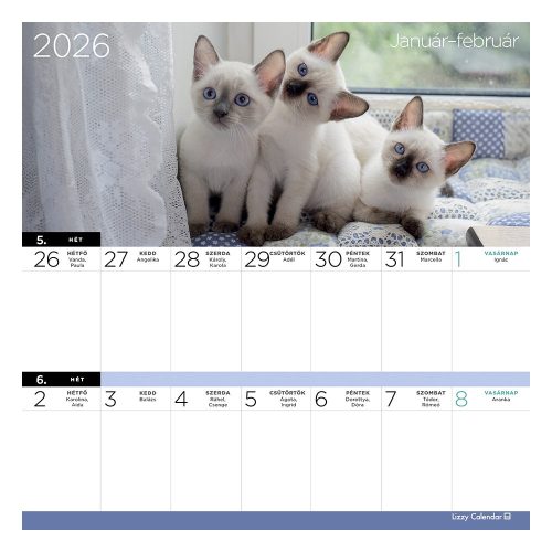 Falinaptár mágneses LIZZY CARD 220x220mm 2 hetes Cicák 2026.