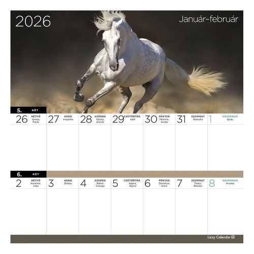 Falinaptár mágneses LIZZY CARD 220x220mm 2 hetes Lovak 2026.