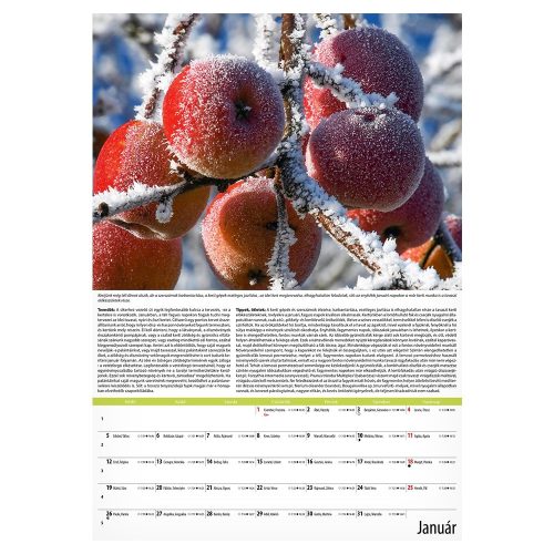 Falinaptár REALSYSTEM 340x485mm álló Kertészmester 2026.