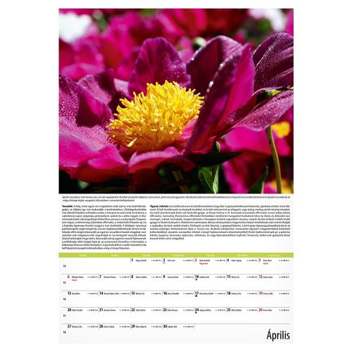 Falinaptár REALSYSTEM 340x485mm álló Kertészmester 2026.