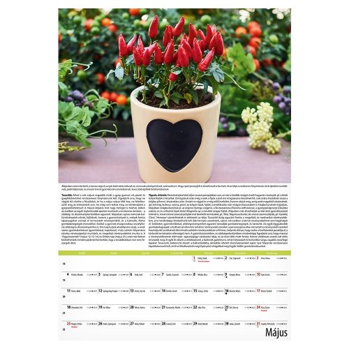 Falinaptár REALSYSTEM 340x485mm álló Kertészmester 2026.