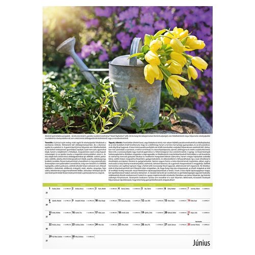 Falinaptár REALSYSTEM 340x485mm álló Kertészmester 2026.