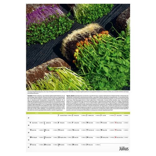 Falinaptár REALSYSTEM 340x485mm álló Kertészmester 2026.