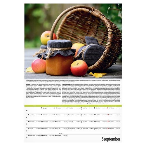 Falinaptár REALSYSTEM 340x485mm álló Kertészmester 2026.