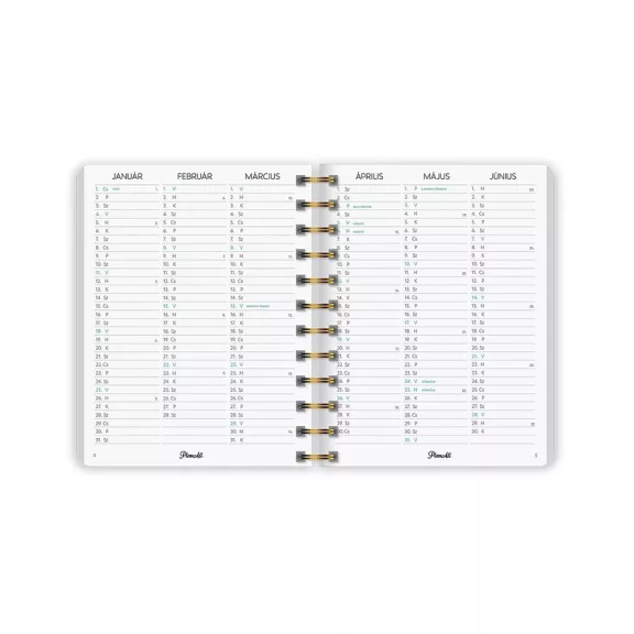 Határidőnapló PLANALL Midi B/6 heti spirálos keményfedelű gumis Nice 2026.