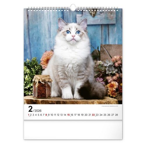 Falinaptár REALSYSTEM 300x340mm álló Cats 2026.