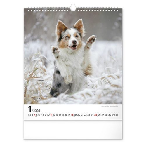 Falinaptár REALSYSTEM 300x340mm álló Dogs 2026.