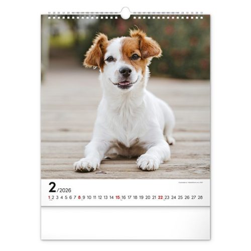 Falinaptár REALSYSTEM 300x340mm álló Dogs 2026.