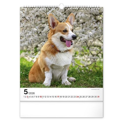 Falinaptár REALSYSTEM 300x340mm álló Dogs 2026.