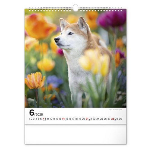 Falinaptár REALSYSTEM 300x340mm álló Dogs 2026.