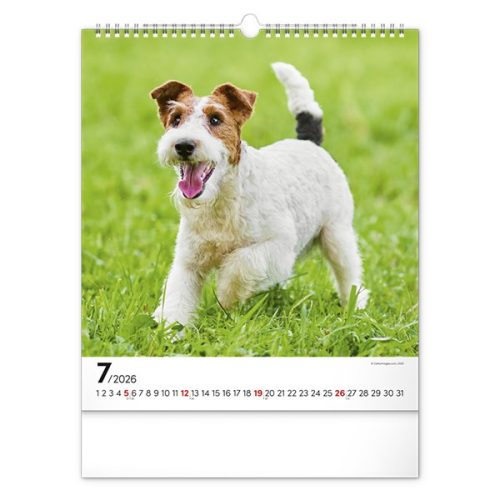 Falinaptár REALSYSTEM 300x340mm álló Dogs 2026.