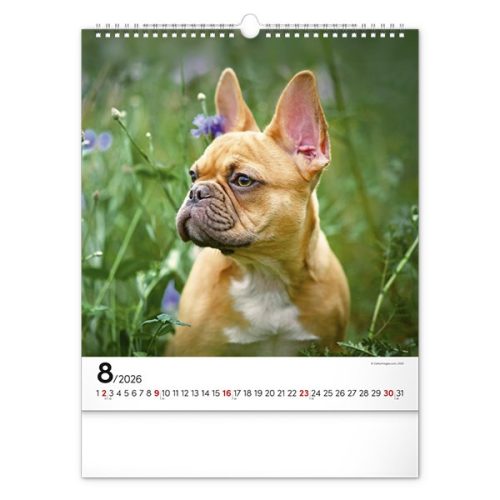 Falinaptár REALSYSTEM 300x340mm álló Dogs 2026.