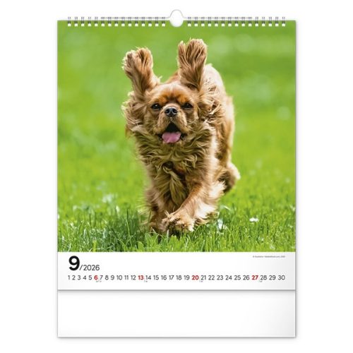 Falinaptár REALSYSTEM 300x340mm álló Dogs 2026.