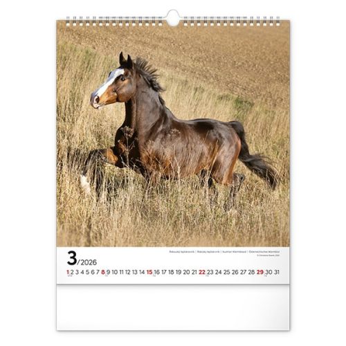 Falinaptár REALSYSTEM 300x340mm álló Horses 2026.