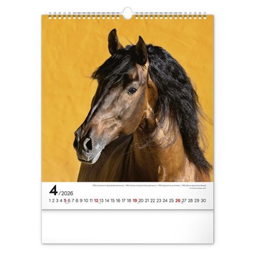 Falinaptár REALSYSTEM 300x340mm álló Horses 2026.