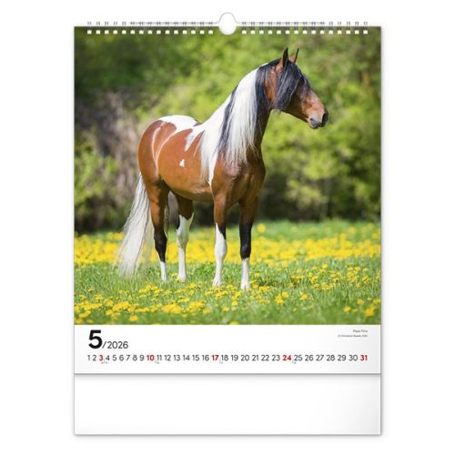 Falinaptár REALSYSTEM 300x340mm álló Horses 2026.