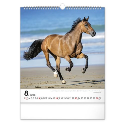 Falinaptár REALSYSTEM 300x340mm álló Horses 2026.