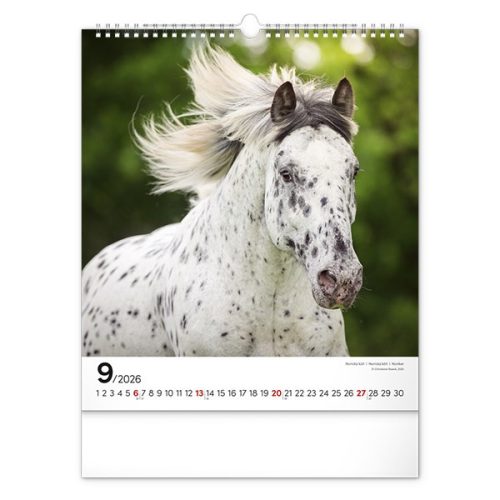 Falinaptár REALSYSTEM 300x340mm álló Horses 2026.