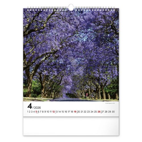 Falinaptár REALSYSTEM 300x340mm álló Inspiration 2026.