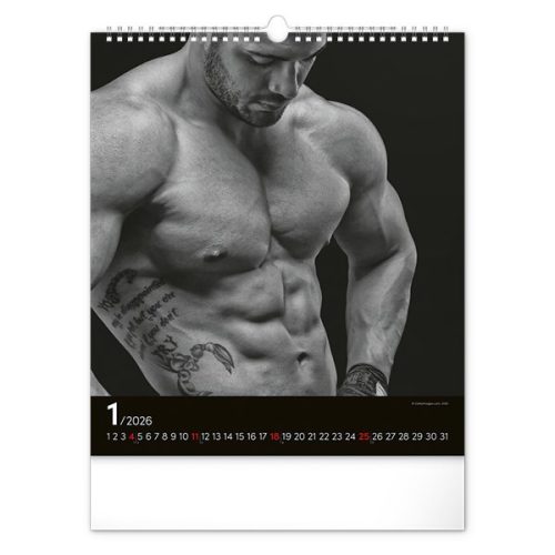 Falinaptár REALSYSTEM 300x340mm álló Men 2026.