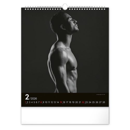 Falinaptár REALSYSTEM 300x340mm álló Men 2026.