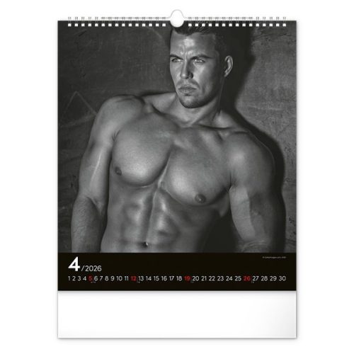 Falinaptár REALSYSTEM 300x340mm álló Men 2026.