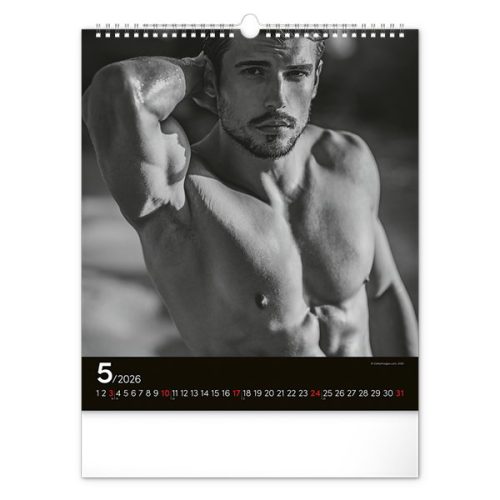 Falinaptár REALSYSTEM 300x340mm álló Men 2026.