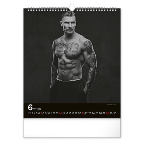 Falinaptár REALSYSTEM 300x340mm álló Men 2026.