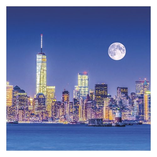 Lemeznaptár REALSYSTEM 300x300mm The moon 2026.