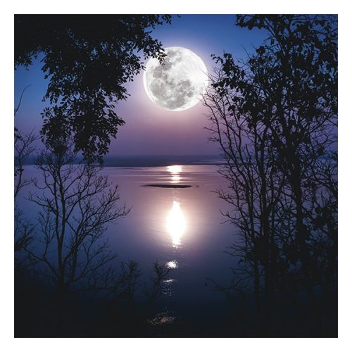 Lemeznaptár REALSYSTEM 300x300mm The moon 2026.