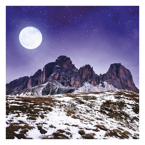 Lemeznaptár REALSYSTEM 300x300mm The moon 2026.