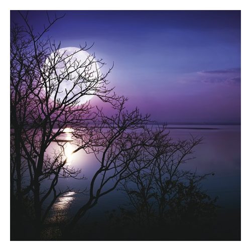 Lemeznaptár REALSYSTEM 300x300mm The moon 2026.