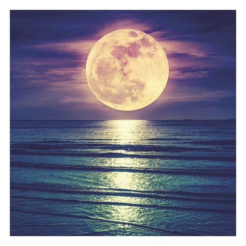 Lemeznaptár REALSYSTEM 300x300mm The moon 2026.