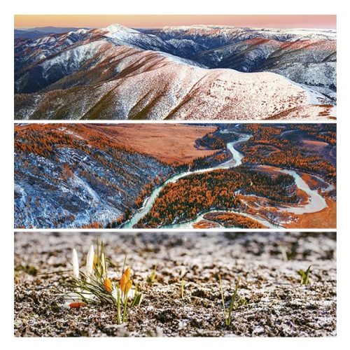 Lemeznaptár REALSYSTEM 300x300mm Palette 2026.