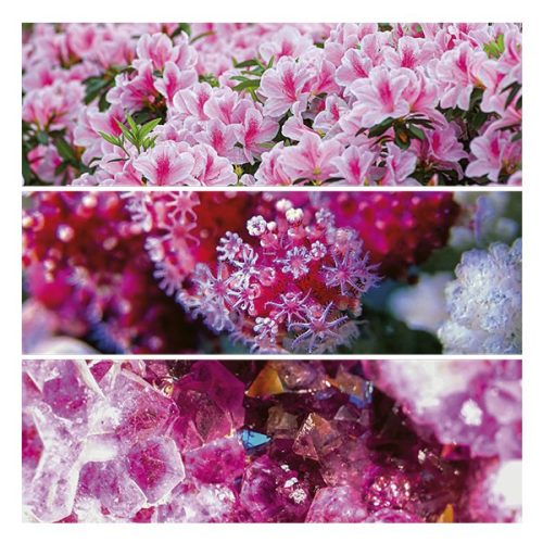 Lemeznaptár REALSYSTEM 300x300mm Palette 2026.