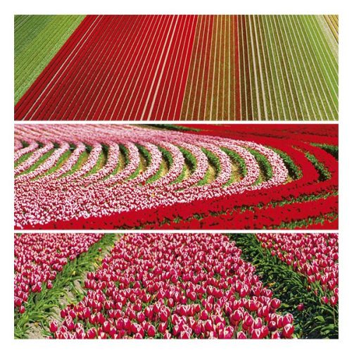 Lemeznaptár REALSYSTEM 300x300mm Palette 2026.