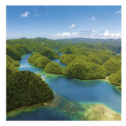 Lemeznaptár REALSYSTEM 300x300mm Our planet 2026.