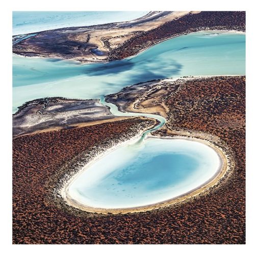 Lemeznaptár REALSYSTEM 300x300mm Our planet 2026.