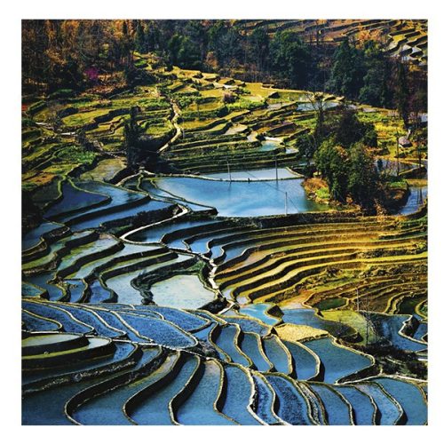 Lemeznaptár REALSYSTEM 300x300mm Our planet 2026.