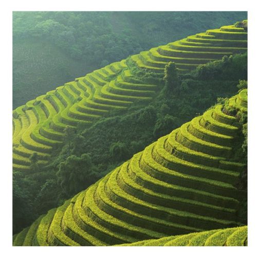 Lemeznaptár REALSYSTEM 300x300mm Our planet 2026.