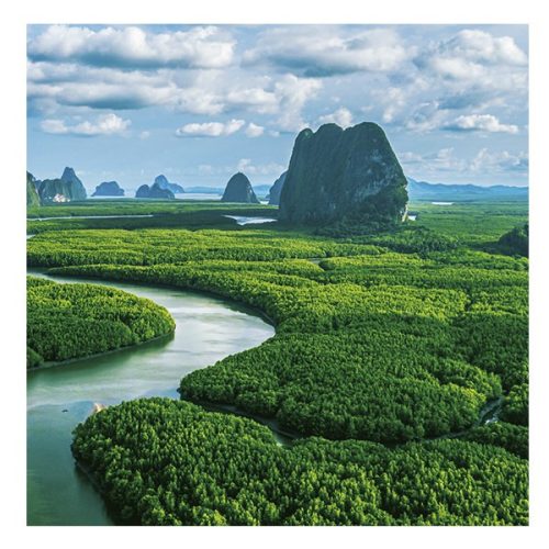 Lemeznaptár REALSYSTEM 300x300mm Our planet 2026.