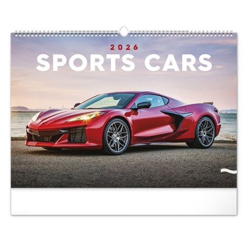 Falinaptár REALSYSTEM 480x330mm fekvő Cars 2026.